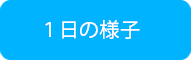 一日の様子