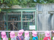 画像：９月イベント秋の遠足