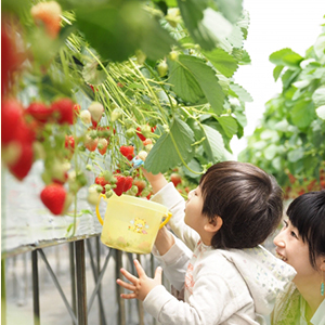 blog02