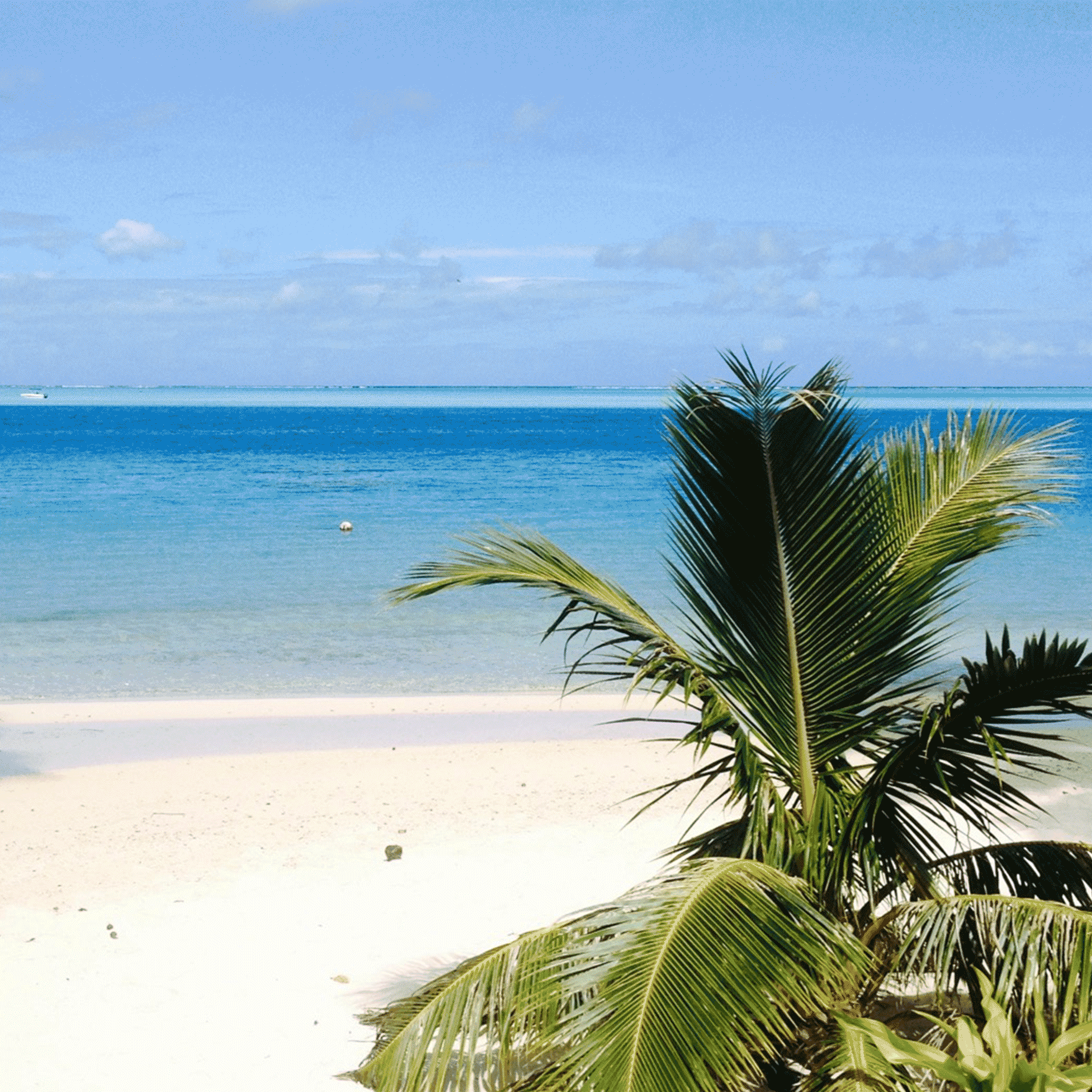 Borabora island