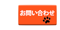 button-1