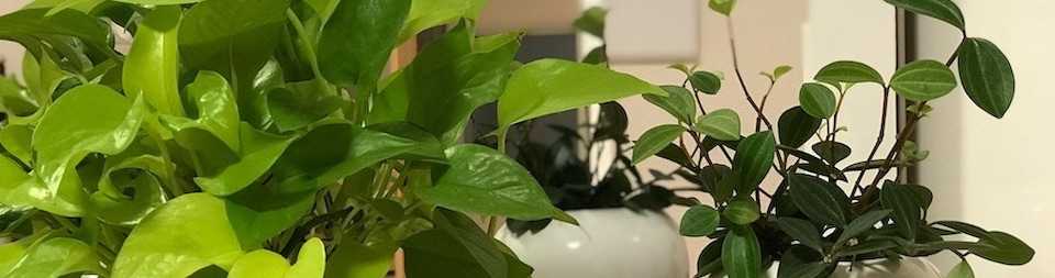 interior-2