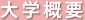 大学概要