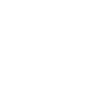 Japan Express