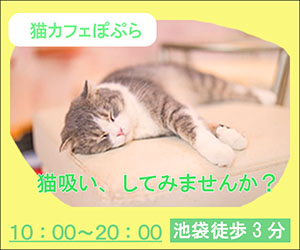 猫カフェ