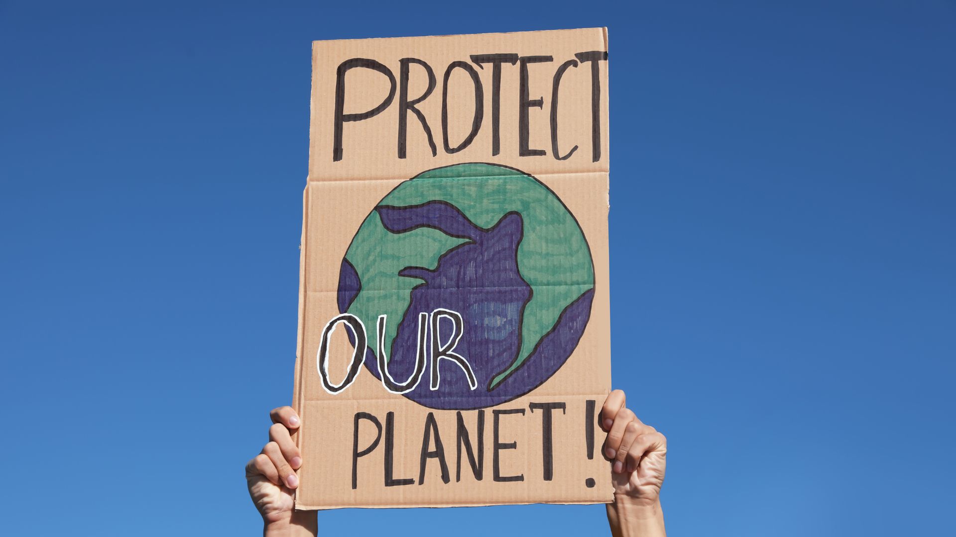 Environment