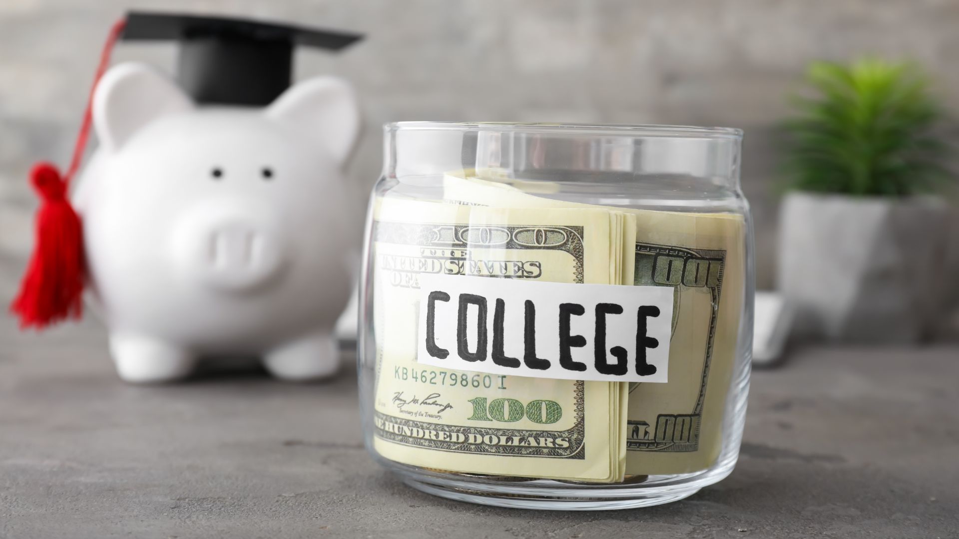 Scholarships & Research