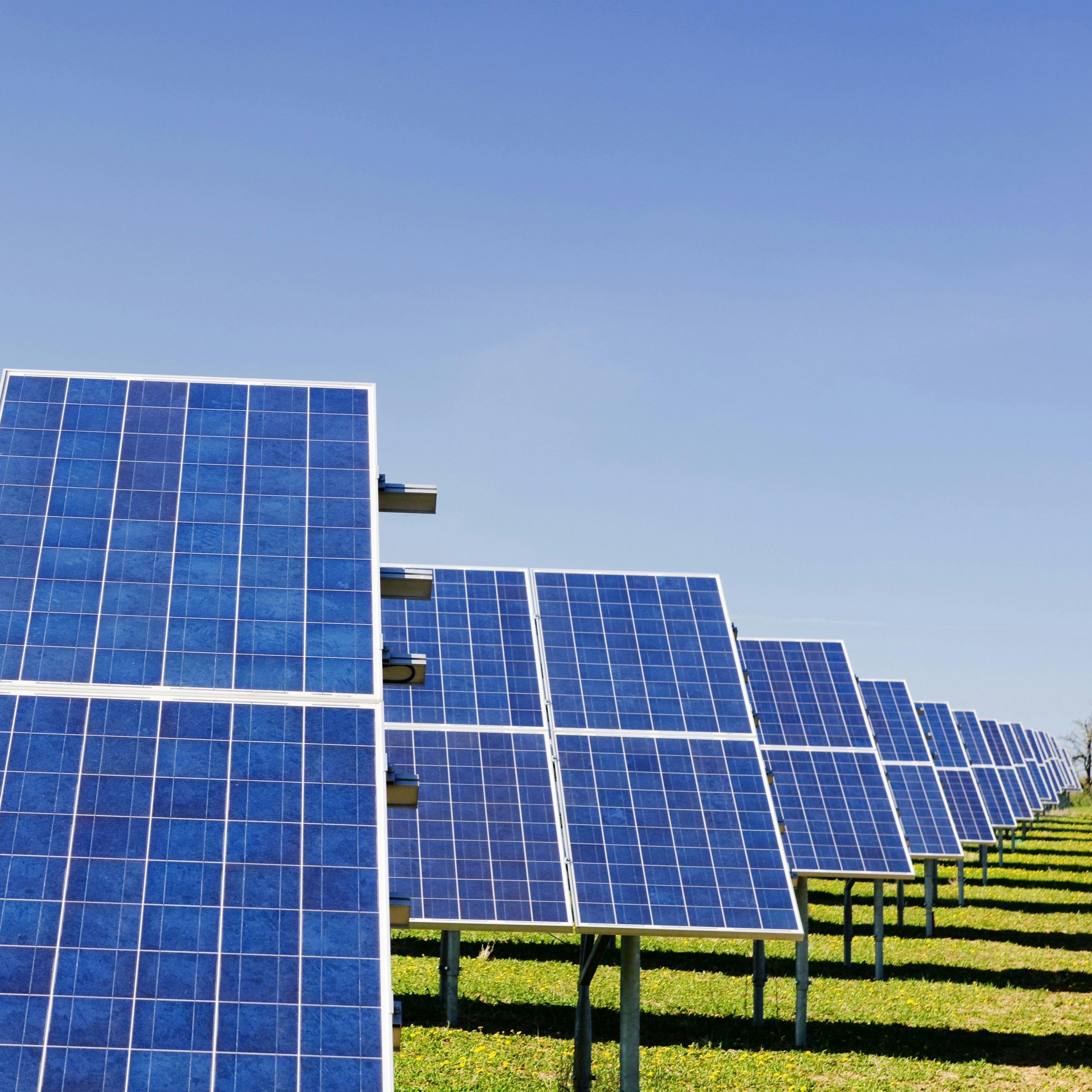 Green Tech Initiative Launched on Campus